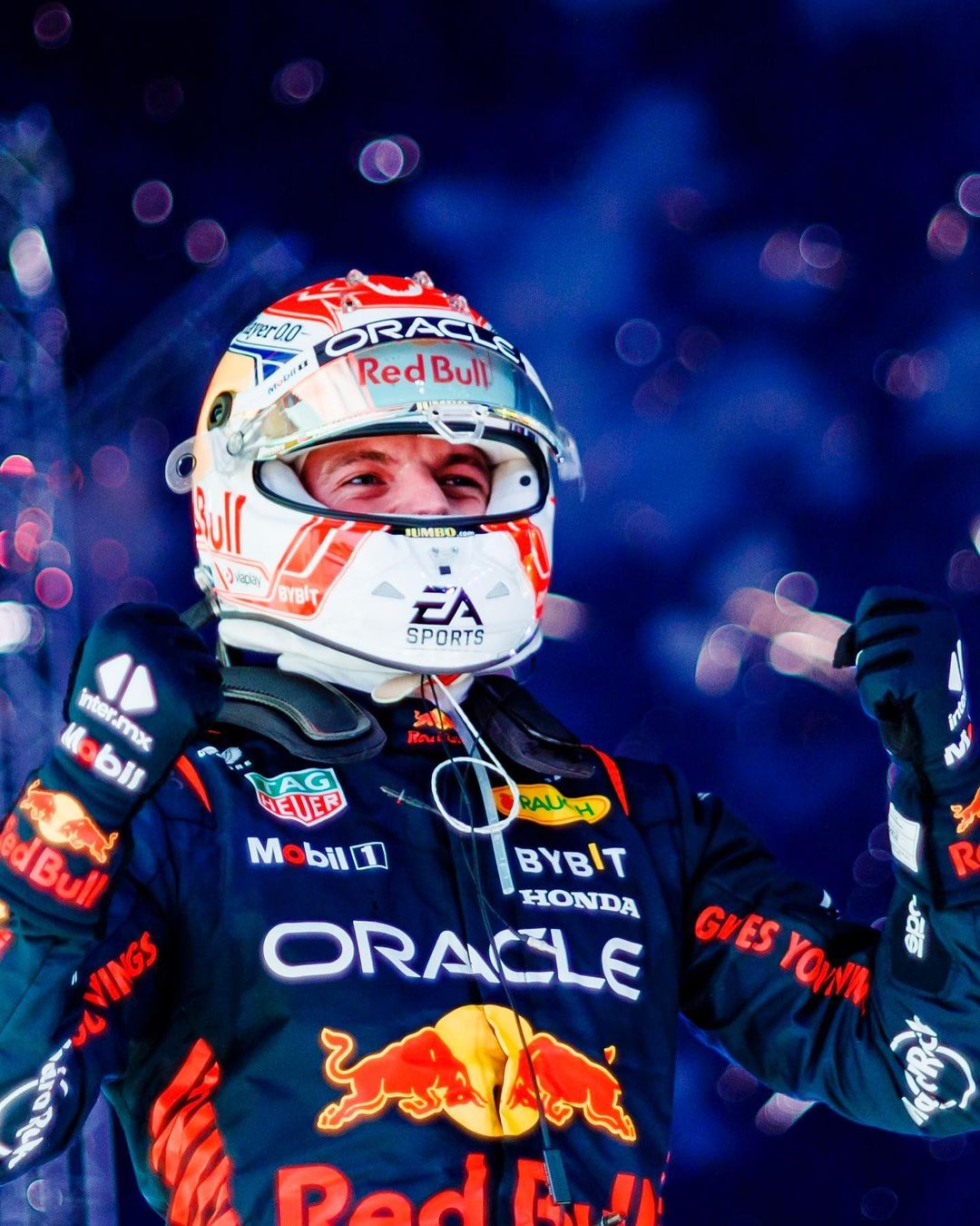 Max Verstappen gallery 15