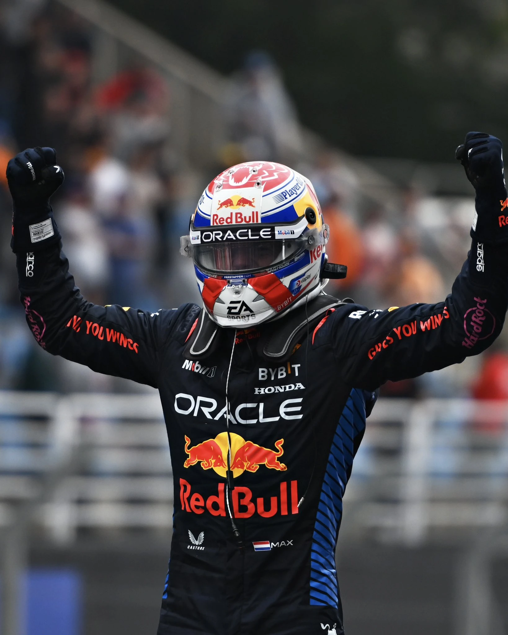 F1 Brezilya | Verstappen 17. başladı, lider bitirdi. gallery image 0