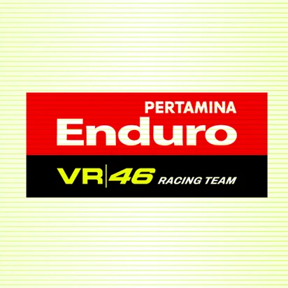 Pertamina Enduro VR46 Racing Team